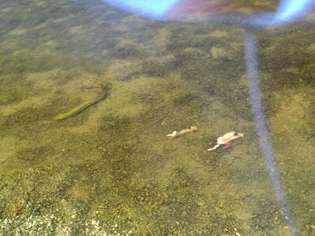 Name:  picture 10076.jpg
Views: 211
Size:  164.3 KB