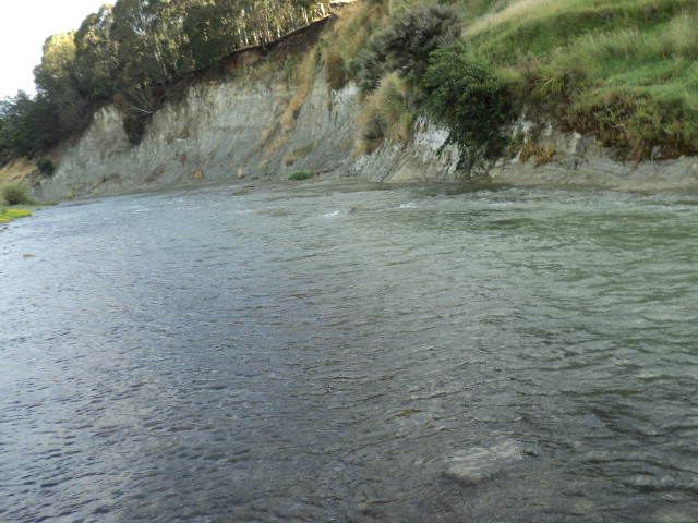 Name:  picture 4663.jpg
Views: 302
Size:  165.0 KB