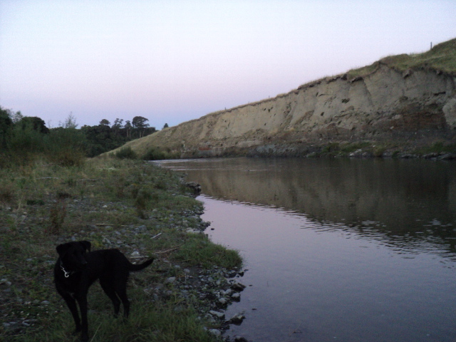 Name:  24 009.jpg
Views: 171
Size:  162.3 KB