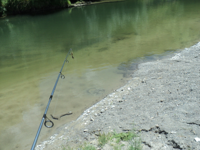 Name:  29 008.jpg
Views: 316
Size:  164.0 KB