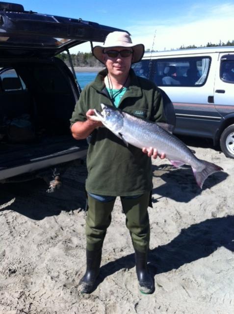 Name:  GT salmon (1).jpg
Views: 416
Size:  47.7 KB