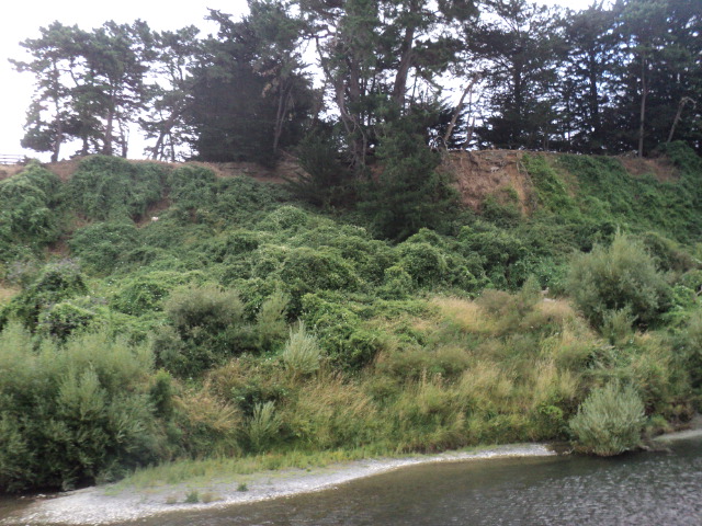 Name:  18 008.jpg
Views: 370
Size:  164.9 KB