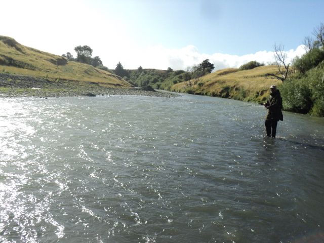 Name:  picture 4664.jpg
Views: 220
Size:  164.3 KB