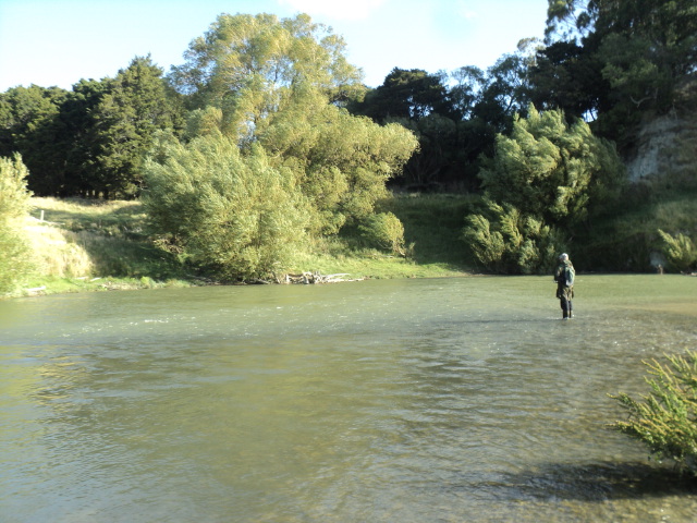 Name:  picture 4665.jpg
Views: 200
Size:  163.3 KB