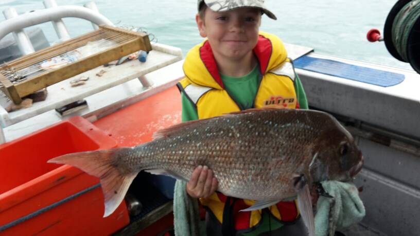 Name:  x snapper.jpg
Views: 390
Size:  45.0 KB