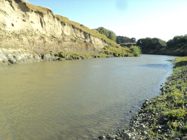 Name:  173.jpg
Views: 241
Size:  162.7 KB