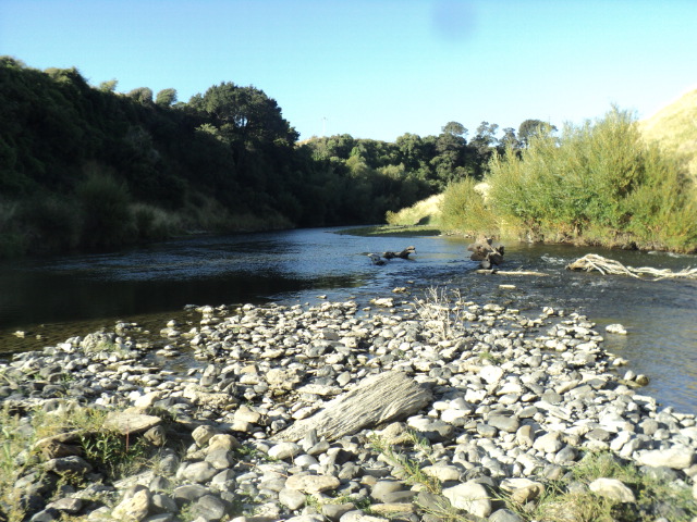 Name:  196.jpg
Views: 194
Size:  163.4 KB