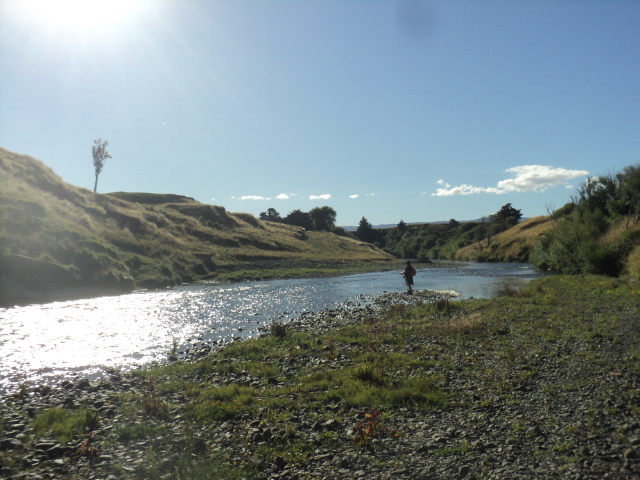 Name:  243.jpg
Views: 302
Size:  165.1 KB