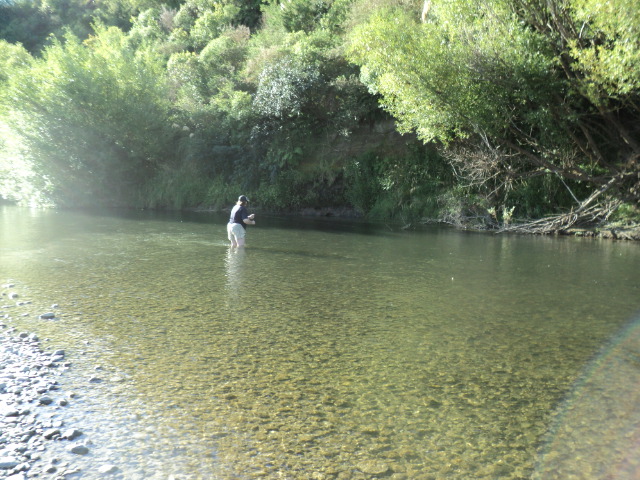Name:  244.jpg
Views: 325
Size:  164.9 KB