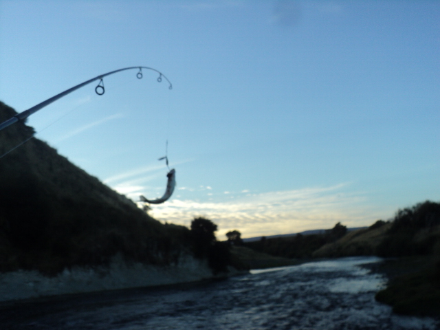 Name:  259.jpg
Views: 319
Size:  154.4 KB