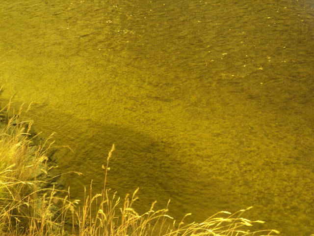 Name:  426.jpg
Views: 1059
Size:  165.1 KB