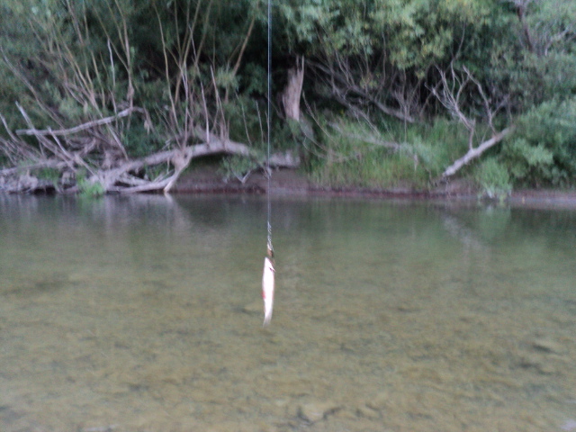 Name:  picture 993.jpg
Views: 182
Size:  163.0 KB