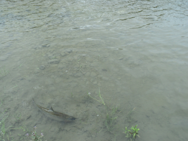 Name:  471.jpg
Views: 417
Size:  164.4 KB