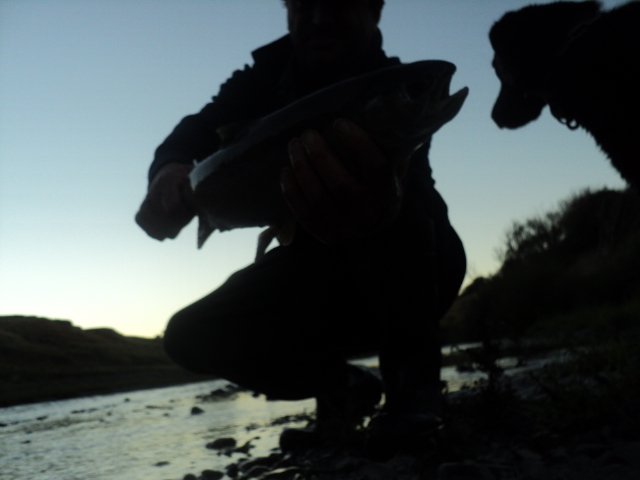 Name:  493.jpg
Views: 446
Size:  158.3 KB