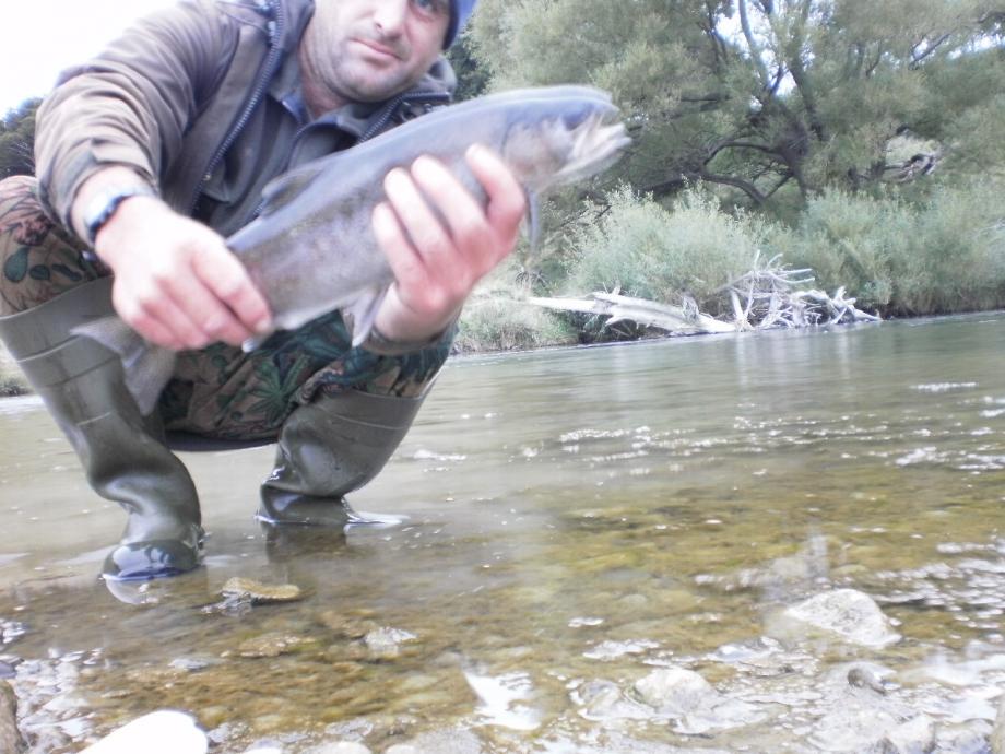 Name:  P2023153.jpg
Views: 907
Size:  93.1 KB
