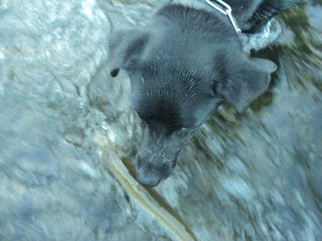 Name:  521.jpg
Views: 291
Size:  165.0 KB