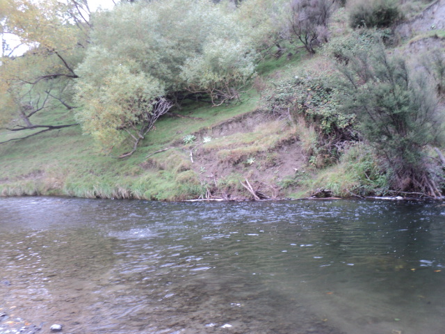 Name:  544.jpg
Views: 308
Size:  165.2 KB