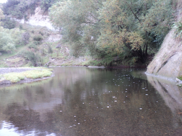 Name:  546.jpg
Views: 312
Size:  163.9 KB