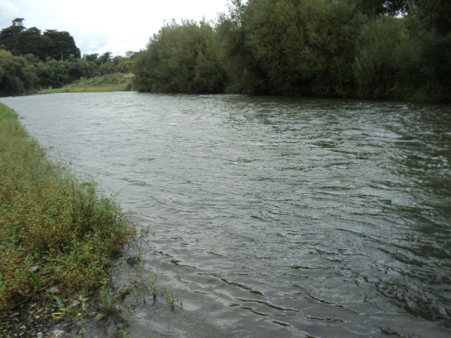 Name:  565.jpg
Views: 207
Size:  164.3 KB