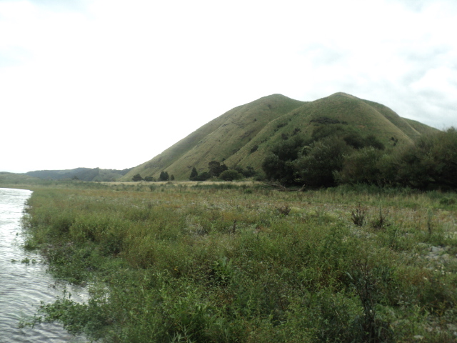 Name:  566.jpg
Views: 227
Size:  164.8 KB