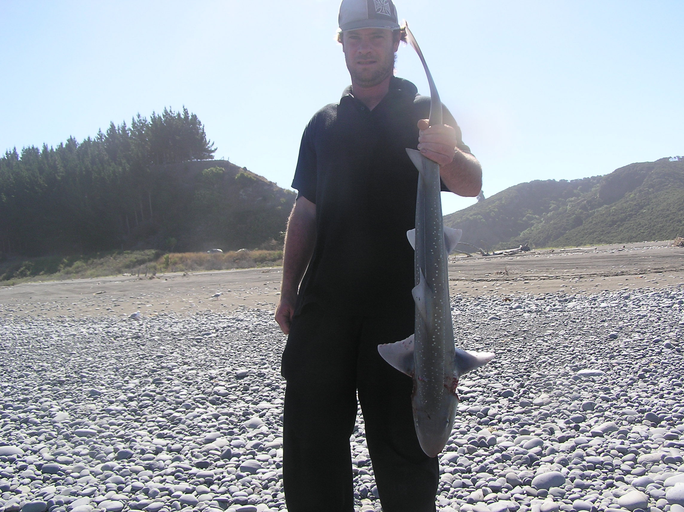 Name:  Picture 008.jpg
Views: 598
Size:  778.1 KB