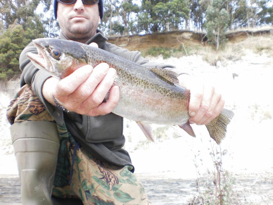 Name:  P2033168.jpg
Views: 943
Size:  92.9 KB