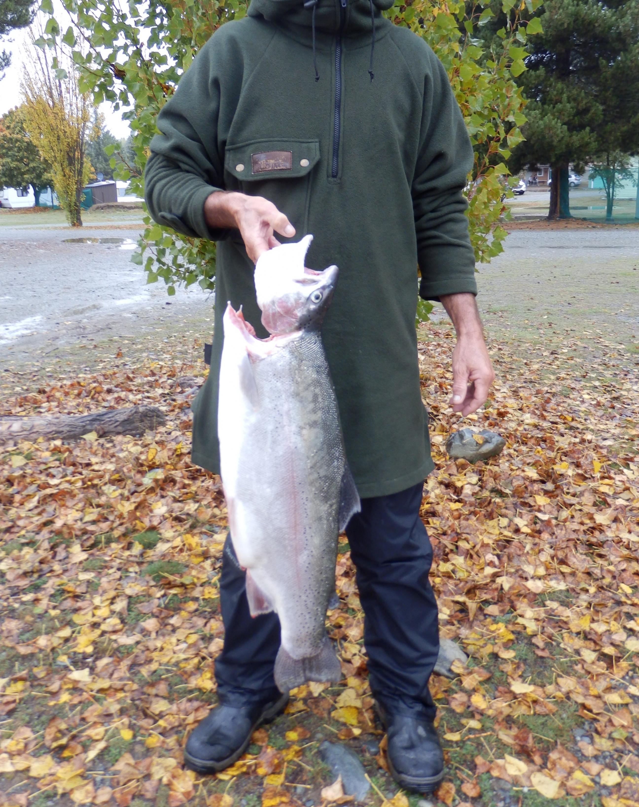 Name:  fish.jpg
Views: 362
Size:  1.00 MB