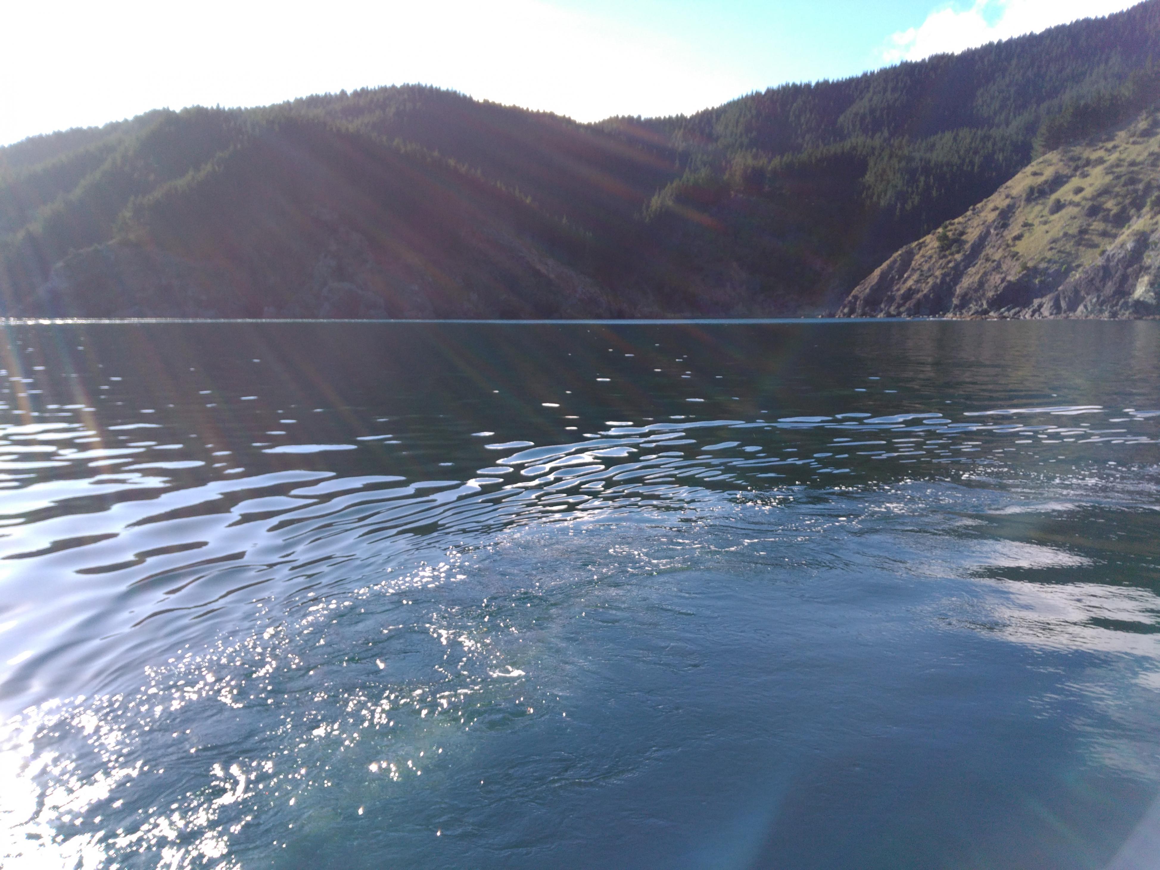 Name:  IMG_1059.jpg
Views: 410
Size:  992.1 KB