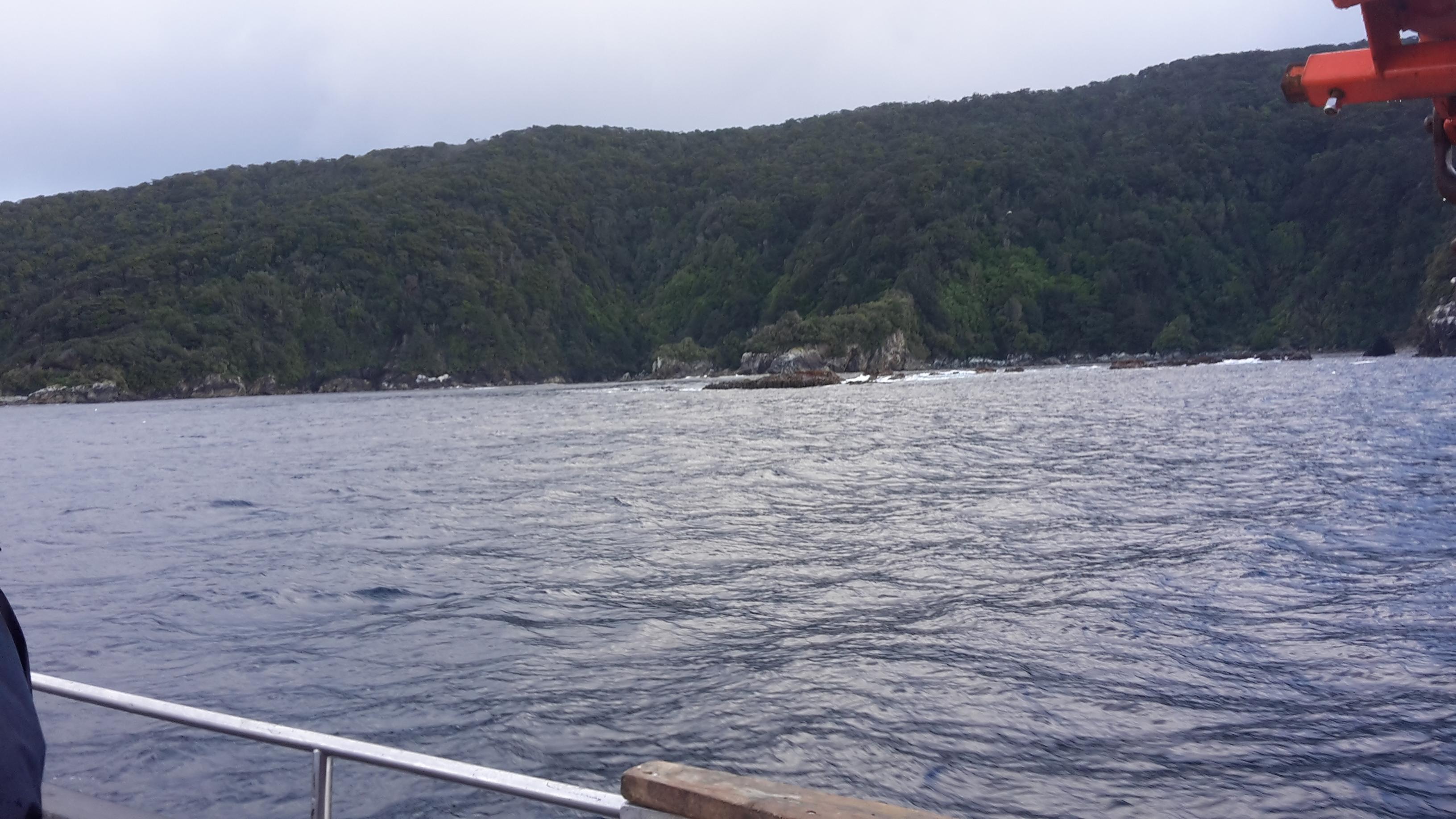 Name:  20170609_101314.jpg
Views: 612
Size:  573.0 KB
