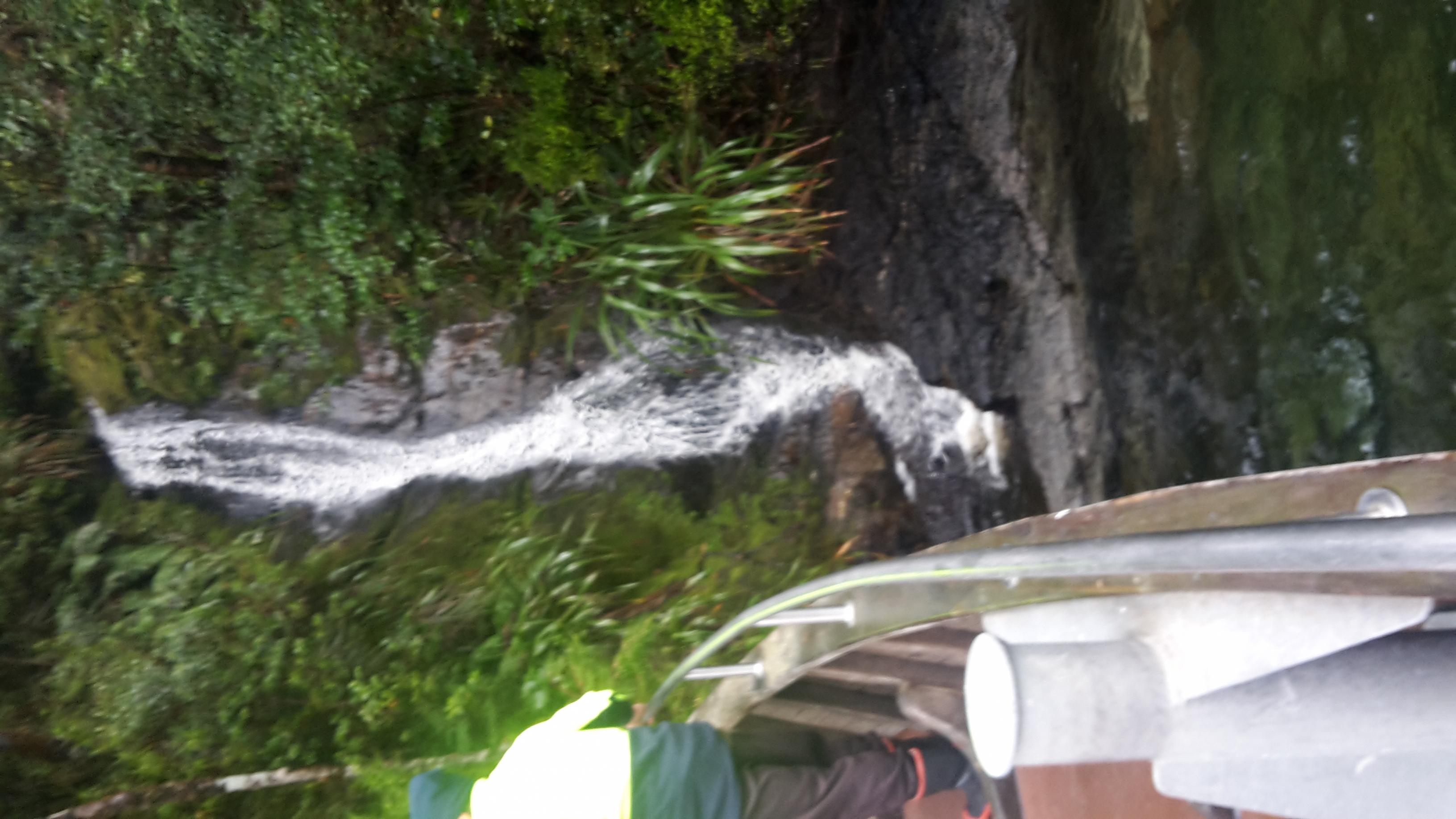 Name:  20170609_131127.jpg
Views: 642
Size:  416.5 KB