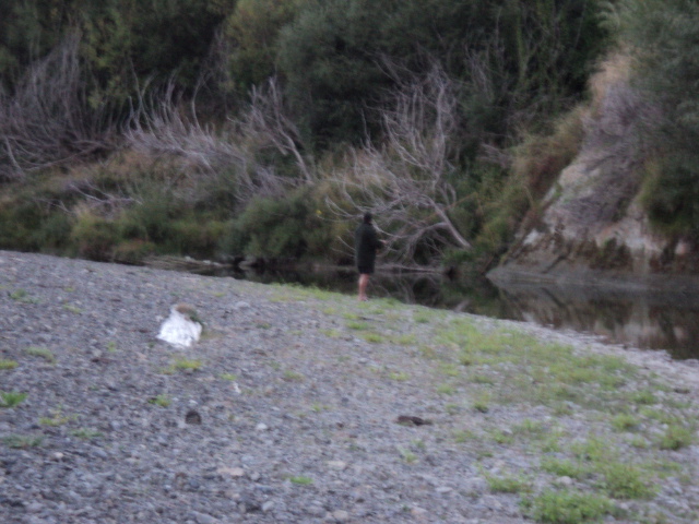 Name:  picture 1122.jpg
Views: 359
Size:  163.7 KB