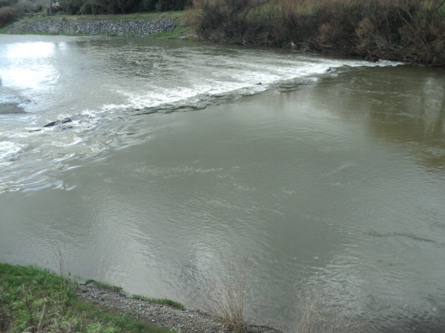 Name:  1048.jpg
Views: 308
Size:  165.0 KB