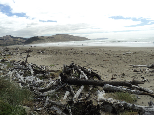Name:  picture 1145.jpg
Views: 518
Size:  164.6 KB