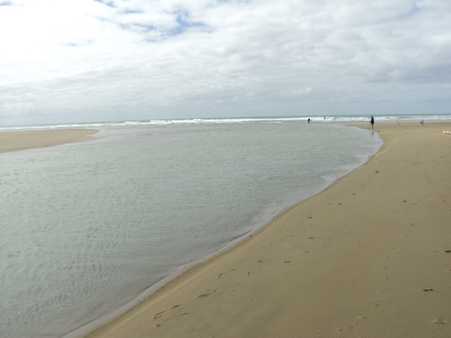 Name:  picture 1149.jpg
Views: 280
Size:  161.0 KB
