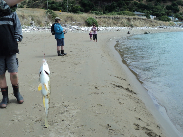 Name:  picture 1158.jpg
Views: 242
Size:  165.3 KB