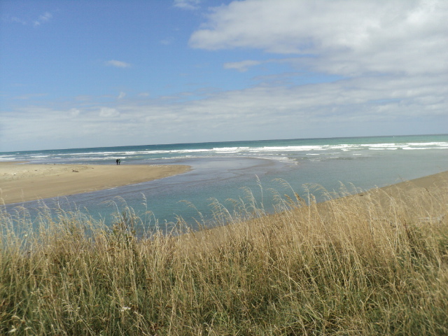 Name:  picture 1164.jpg
Views: 266
Size:  164.8 KB