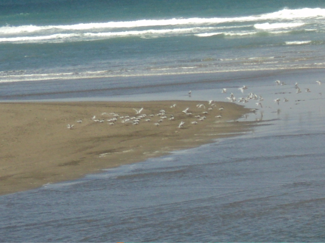 Name:  picture 1165.jpg
Views: 641
Size:  164.7 KB