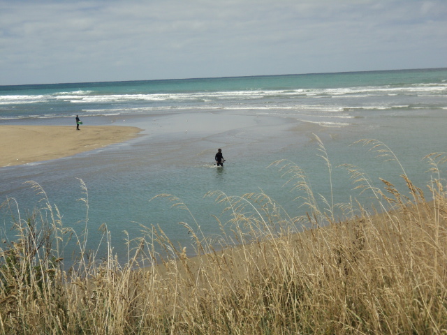 Name:  picture 1166.jpg
Views: 292
Size:  163.1 KB