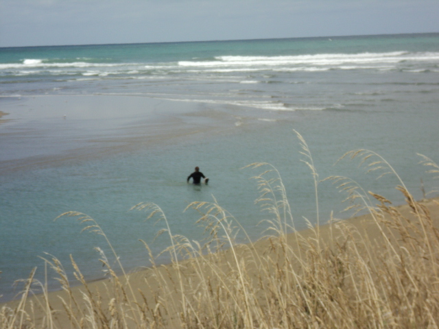 Name:  picture 1167.jpg
Views: 436
Size:  165.3 KB