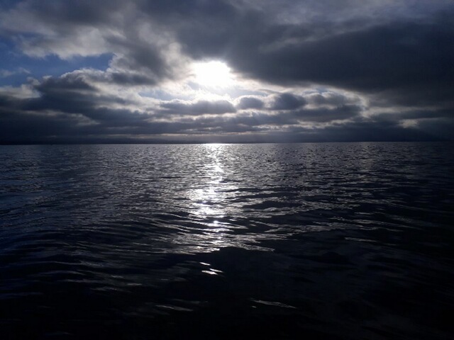 Name:  IMG_1202.JPG
Views: 267
Size:  77.8 KB