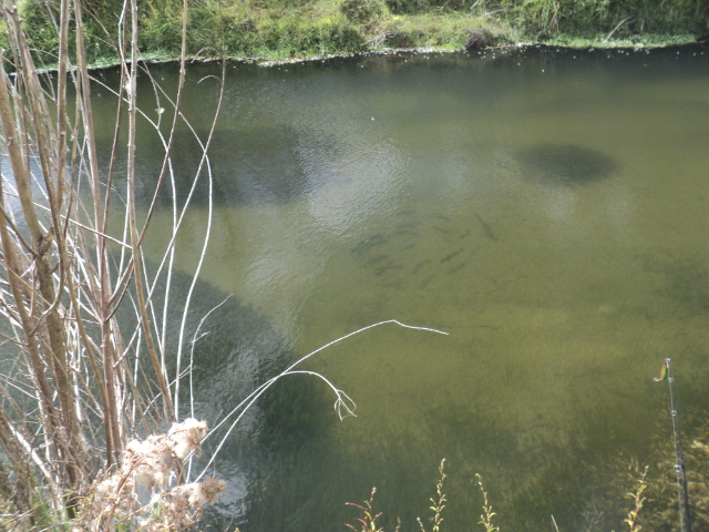 Name:  picture 1249.jpg
Views: 328
Size:  162.5 KB