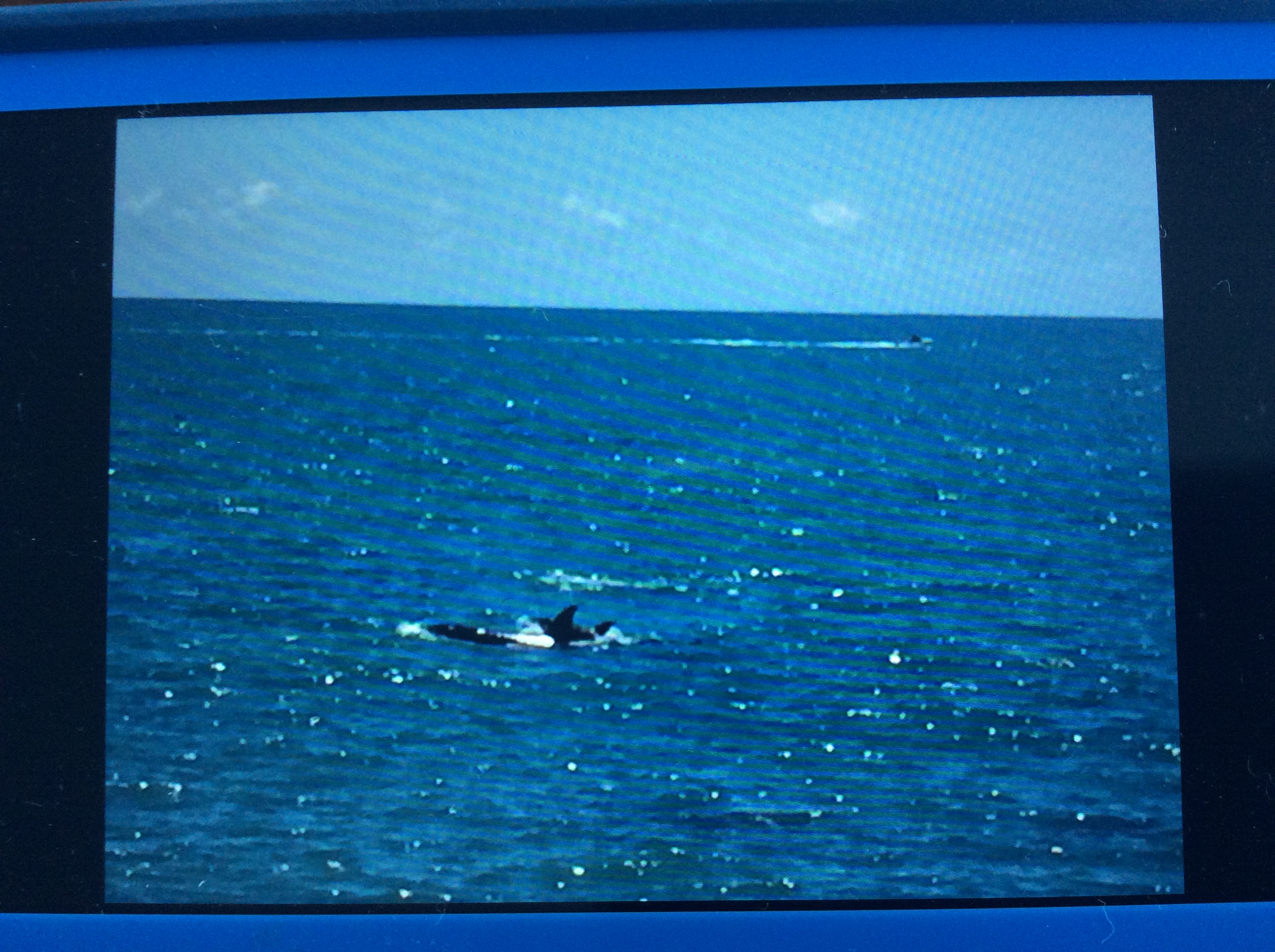Name:  IMG_0039.JPG
Views: 447
Size:  1.59 MB