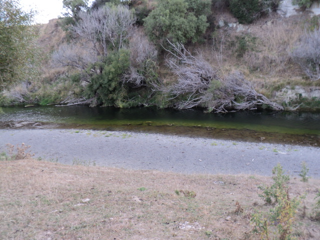 Name:  picture 1272.jpg
Views: 150
Size:  163.5 KB