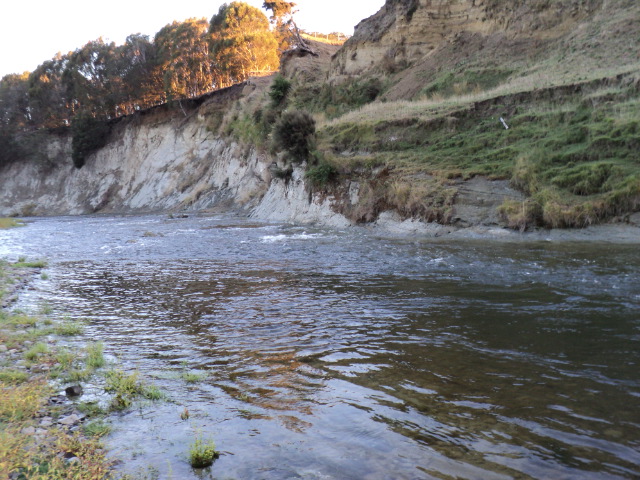Name:  picture 1287.jpg
Views: 283
Size:  163.0 KB