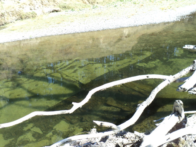 Name:  picture 1294.jpg
Views: 292
Size:  164.9 KB