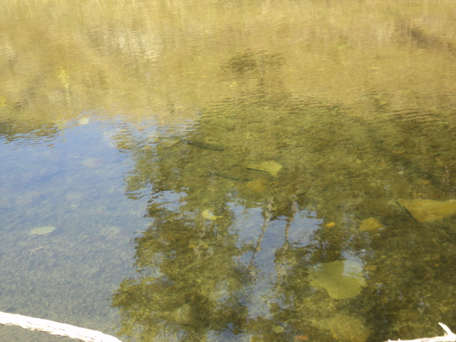 Name:  picture 1298.jpg
Views: 179
Size:  164.2 KB