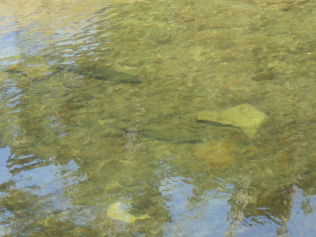 Name:  picture 1297.jpg
Views: 198
Size:  164.8 KB