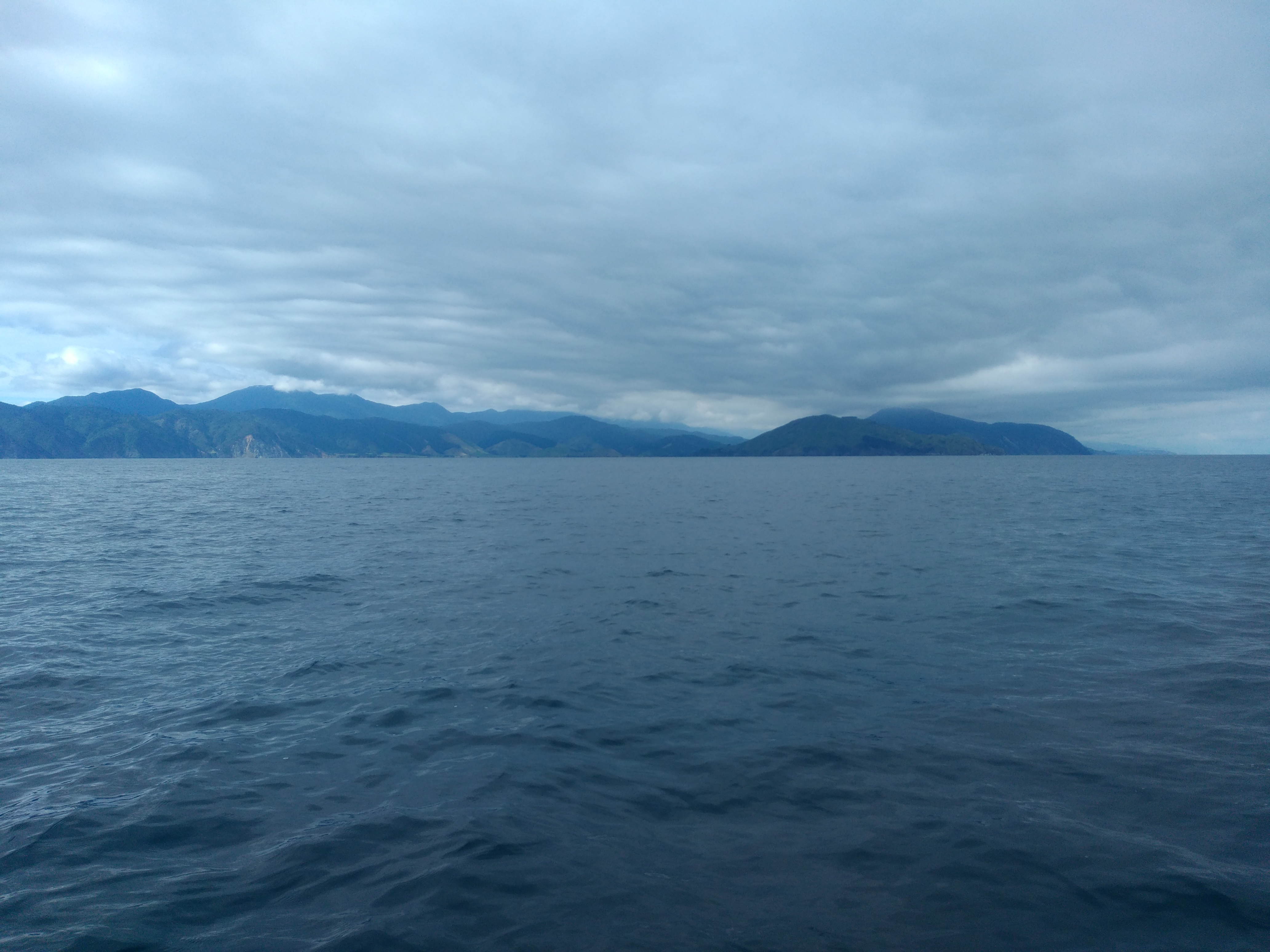Name:  IMG_20180127_100609.jpg
Views: 341
Size:  4.08 MB