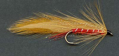 Name:  Ginger-Mick-Red.jpg
Views: 597
Size:  14.1 KB