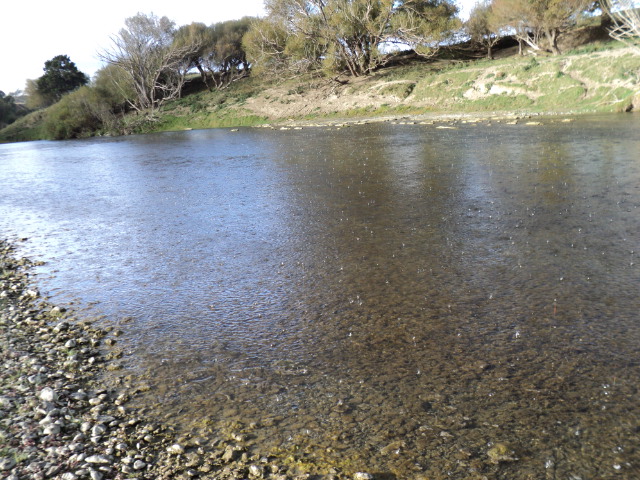 Name:  picture 1334.jpg
Views: 355
Size:  165.1 KB